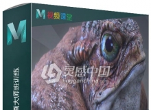 影视游戏3D建模与动画大师班训练视频教程