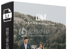 森系田园风电影颗粒胶片感LightRoom预设 Luna Lightroom Presets