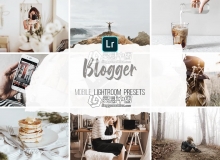 INS网红博客干净灰调手机版LR胶片 Mobile Lightroom Presets-Blogger