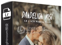 蒲公英婚礼电影胶片Lightroom预设 Dandelion Mist Lightroom Presets