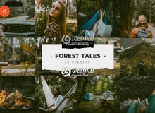 森系旅拍电影INS滤镜胶片LR预设 Forest Tales Lightroom Presets