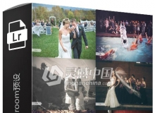 复古胶片婚礼Lightroom预设Forever Thine Wedding Workflow Lightroom
