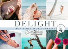 舒适温馨自然光线手机版Lightroom预设 Deligh Mobile Lightroom Presets
