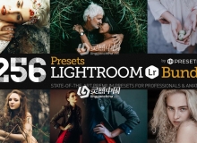 256款调色Lightroom预设合集 256 New Lightroom Preset Bundle