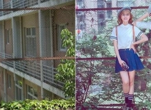 Photoshop文艺色婚纱照调色中文视频教程