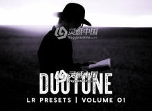 情绪个性表达双色调Lightroom预设 Duotone - Lightroom Presets