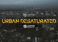 城市风景调色LR预设+LUT预设 Urban Desaturated Lightroom Presets