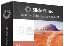VSCO Film 04 幻灯片胶片预设 VSCO Film 04 for Lightroom and ACR (2018.8更新)