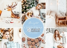 INS博客圣诞色调LR预设/移动APP预设Christmas Blogger Lightroom presets