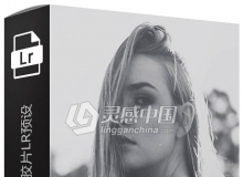 摄影师Julia Trotti黑白胶片LR预设 Julia Trotti Paris LR Presets