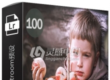 100组幻想Lightroom预设 Fantasy Lightroom Presets