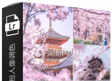 LR预设PS日系小清新樱花粉人像调色PR/FCPX达芬奇AE手机滤镜