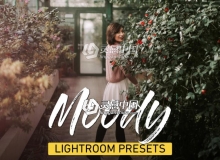 INS博客温暖时尚胶片Lightroom预设 Moody Lightroom Presets Bundle