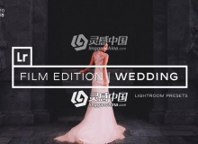 大气婚礼电影色调Lightroom预设 Film Wedding Lightroom Presets