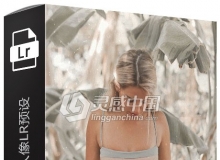 奶油色调旅拍人像Lightroom预设 LLVisual - Basic Lightroom Presets