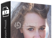 Grainy Matte Lightroom Preset 磨砂Lightroom预设