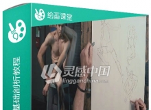 The Gnomon Workshop Figure Fundamentals Volume 2