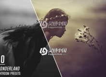 梦幻仙境Lightroom预设 60 Wonderland Lightroom Presets