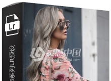 45+高级人像修饰系列Lightroom预设 The New York Preset Pack
