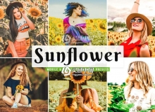 向日葵花田人像LRA预设+手机LR预设 Sunflower Lightroom Presets Pack