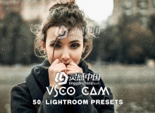 Vsco Cam人像Lightroom预设 Vsco Cam 50 Lightroom Presets