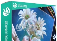 雏菊彩色铅笔绘画实例训练视频教程