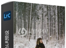 经典胶片调色LR预设 The Classic Presets – The Solaris Project