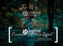 100个Ins街拍电影色调Lightroom预设Cinematic and Movie Effect Lightroom