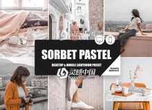 法式冰淇淋粉彩色调LR预设+手机版APP滤镜 Sorbet Pastel Lightroom