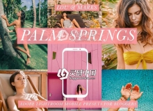旅行摄影博主 Palm Springs Blogger Lightroom移动手机版预设