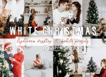 白色圣诞节Lightroom预设 WHITE CHRISTMAS Lightroom Presets