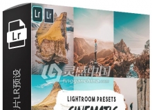 INS风格电影胶片LR预设+手机lr预设Cinematic insta Lightroom Presets