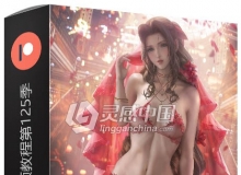PS超级卡通角色手绘实例训练视频教程第125季 Sakimichan patreon Term 125