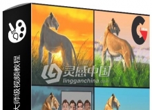Aaron Blaise讲授数字绘画光与影技术大师级视频教程