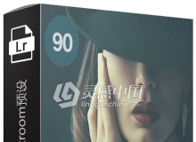 90组褪色的Lightroom预设 Faded Lightroom Presets