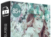 80款梦幻童话Lightroom预设 80+ Fairytale Lightroom Presets
