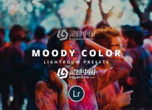 穆迪颜色Lightroom的预设 Moody Color Lightroom presets