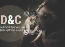 东方人像电影褪色效果Lightroom预设 Cinematic Effects Lightroom Presets