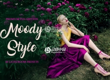色彩增强通透人像电影胶片LR预设 Moody Style Lightroom Presets