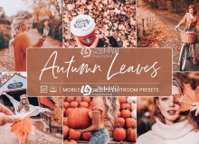 完美秋季人像风景LR预设+手机APP预设 Lightroom Presets Autumn Leaves