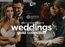 复古电影胶片婚礼人像LR预设+手机LR预设 WEDDING GOLD PACK LR