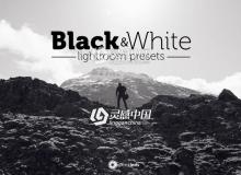 黑白Lightroom预设 Black & White Lightroom Presets