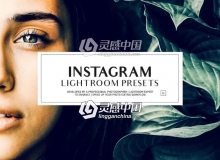 Instagram摄影师博客Lightroom预设Instagram LR Presets