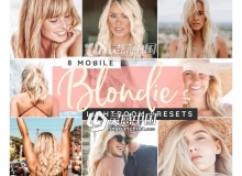 夏季旅行肖像亚麻色金色Lightroom预设Blonde Lightroom Presets