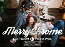 家庭生活方式肖像Lightroom预设 Merrychrome Lightroom Preset Pack