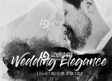 优雅婚礼Lightroom预设下载 Wedding Elegance Lightroom Presets