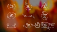简约线条花卉装饰元素复古样式婚礼标题邀请函卡片文本PR模板下载 Wedding Titles