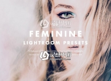 女性人像胶片Lightroom预设Feminine Lightroom Presets