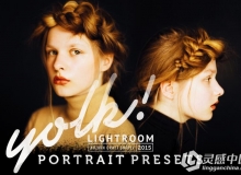 欧洲油画肖像Lightroom预设 Presetrain Yolk Lightroom Preset
