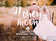 爱情故事婚礼蜜月老电影Lightroom预设 Honeymoon Wedding LR预设